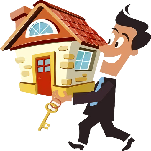 Property & Real Estate